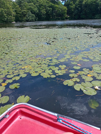 State Park «Cochituate State Park», reviews and photos, 43 Commonwealth Rd, Natick, MA 01760, USA