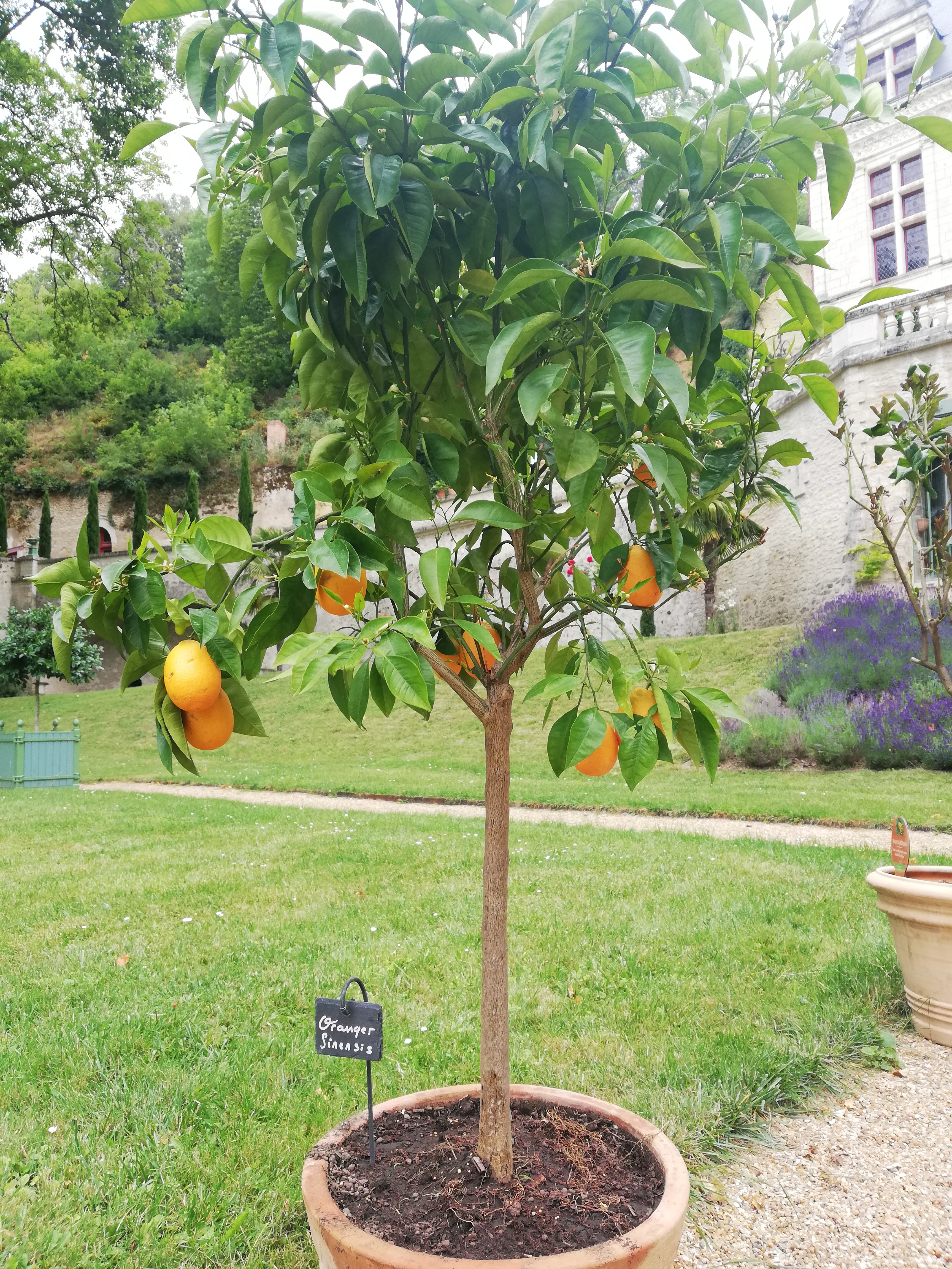 Photo n° 24 de l'avis de Elena.r fait le 13/06/2020 à 12:01