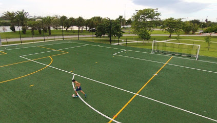Soccer Field #3