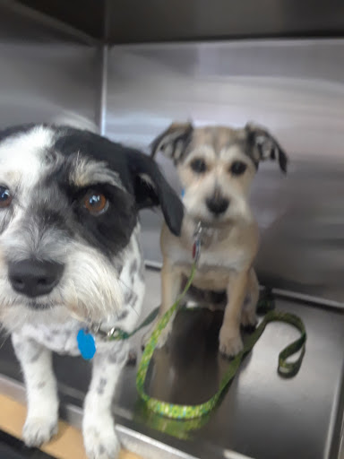 Pet Supply Store «Pets For You», reviews and photos, 413 N Main St, Rice Lake, WI 54868, USA