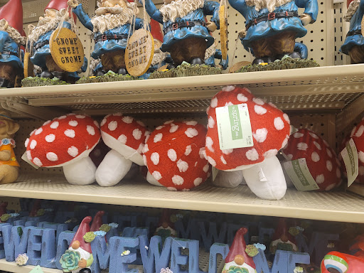 Craft Store «Hobby Lobby», reviews and photos, 1815 Douglas Blvd, Roseville, CA 95661, USA