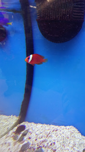 Pet Supply Store «Petco Animal Supplies», reviews and photos, 390 East 525 North, Harrisville, UT 84404, USA