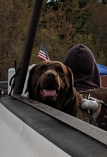 168 Teaticket Hwy, East Falmouth, MA 02536, USA