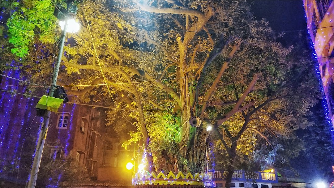 Padma Pukur Tree temple