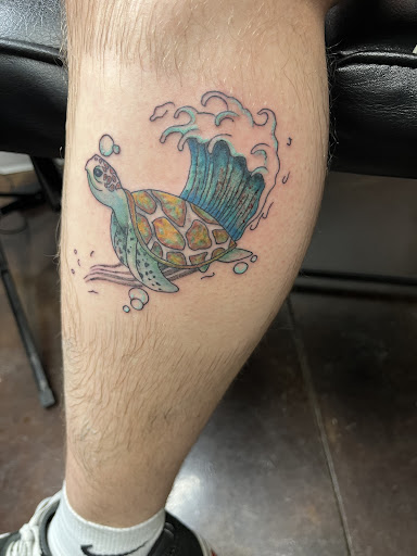 Explore small mushroom tattoo ideas, creative tattoo ideas in Wisconsin Dells, available at Twisted Dimensions Tattoo Studio