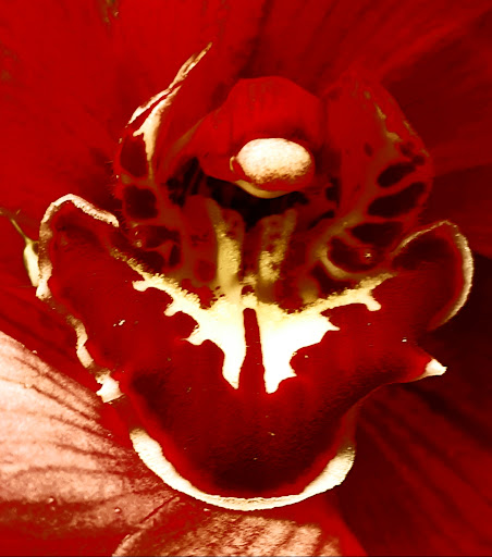 Florist «Always In Bloom», reviews and photos, 48 Bridge St, Etna, PA 15223, USA