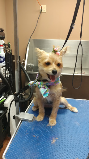 Pet Store «Pet Valu», reviews and photos, 2645 Shillington Rd, Sinking Spring, PA 19608, USA