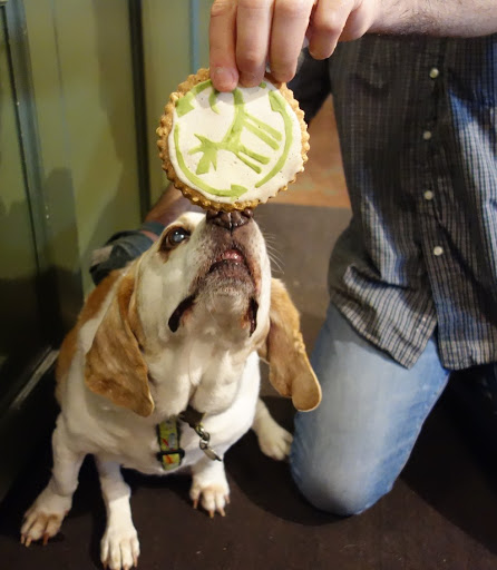 Pet Supply Store «Green Dog Pet Supply», reviews and photos, 4327 NE Fremont St, Portland, OR 97213, USA