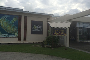 Palau Aquarium image