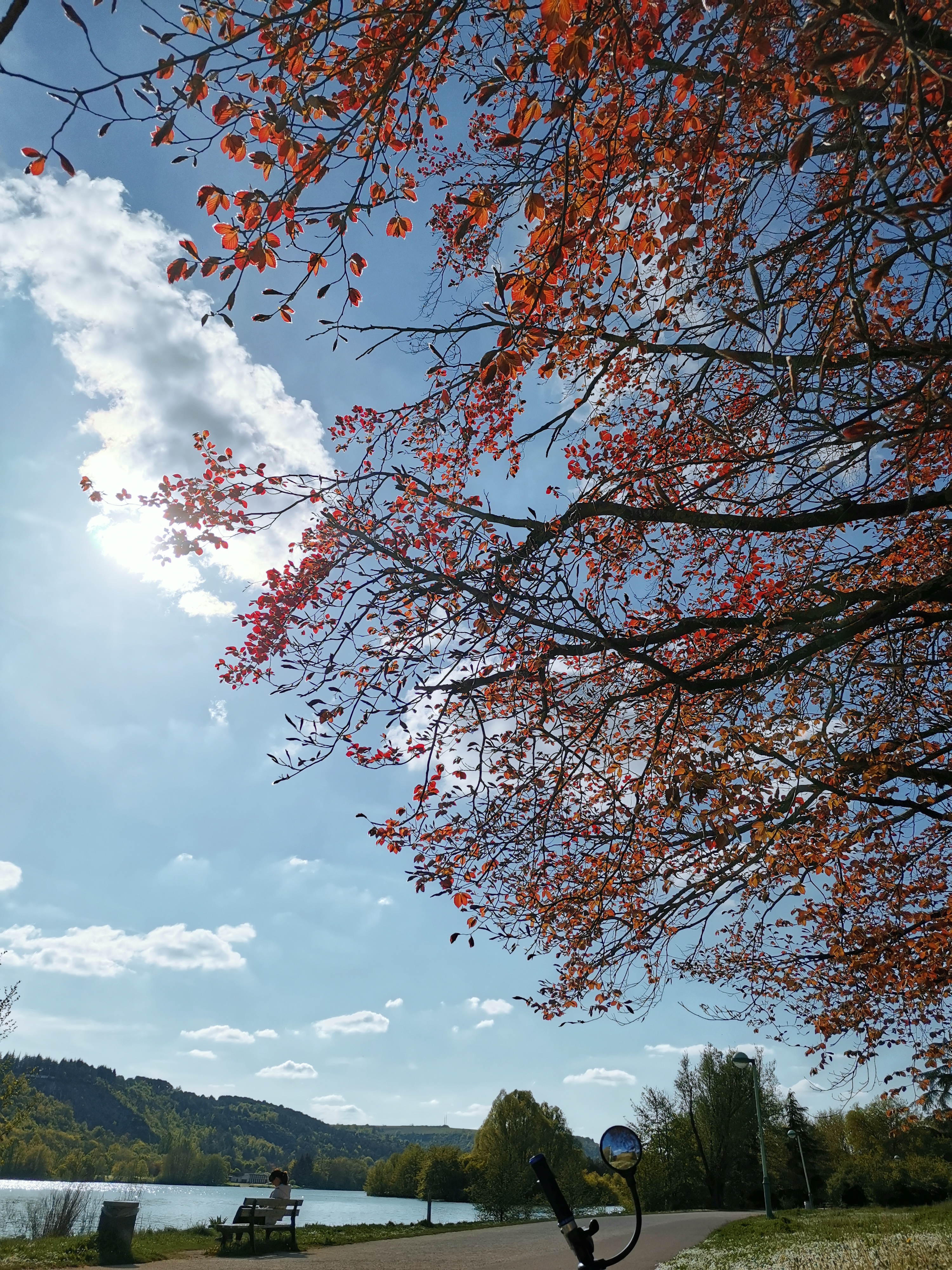 Photo n° 5 de l'avis de MICKAELLE.. fait le 16/05/2022 à 11:17