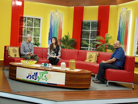 Boston Aesthetics - Boston Aesthetics