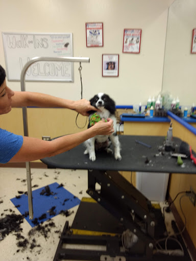 Pet Supply Store «Petsense Murray», reviews and photos, 1550 Lowes Dr, Murray, KY 42071, USA