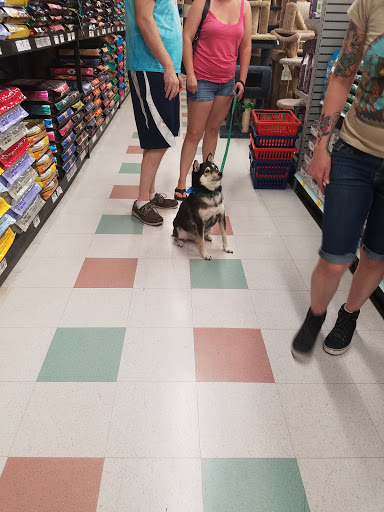 Pet Supply Store «Mad Cat Pet Supplies», reviews and photos, 7820 Mineral Point Rd, Madison, WI 53717, USA