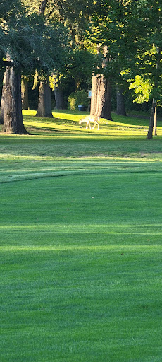 Golf Course «Big Met Golf Course», reviews and photos, 4811 Valley Pkwy, Fairview Park, OH 44126, USA