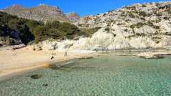 Playa de Cala Barques'in fotoğrafı imkanlar alanı