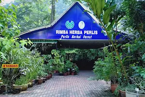 Perlis Herbal Forest image