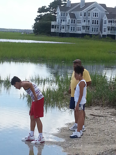 Park «Morse Park Landing», reviews and photos, 4939 US-17 BUS, Murrells Inlet, SC 29576, USA