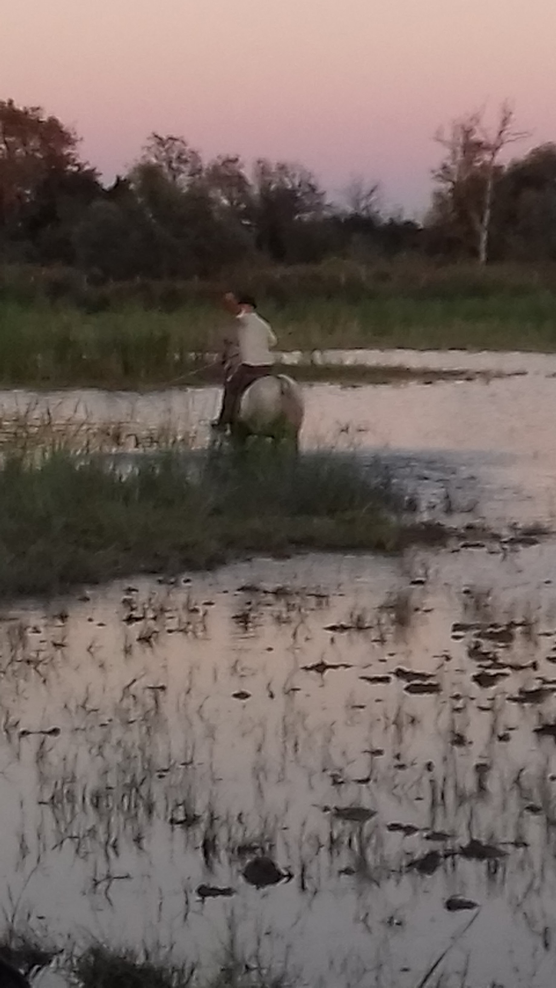 Photo n° 1 de l'avis de Robert.c fait le 13/09/2019 à 18:07