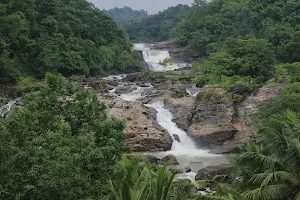 Periyarvalley waterfalls image