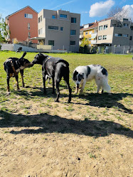 Steinbühlweg Dog Park