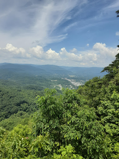 Restaurant «The Pineapple Tea Room & Coffee Shoppe», reviews and photos, 604 Colwyn St, Cumberland Gap, TN 37724, USA