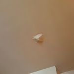 Photo n°7 de l'avis de Julie. fait le 07/08/2023 à 16:22 sur le  OMAMA Social Hotel à Aosta