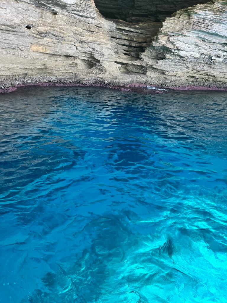 Photo n° 5 de l'avis de DESOLI.l fait le 12/09/2022 à 14:52