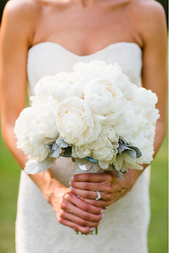 Florist «The Potting Bench», reviews and photos, 494 Quincy Ave, Braintree, MA 02184, USA