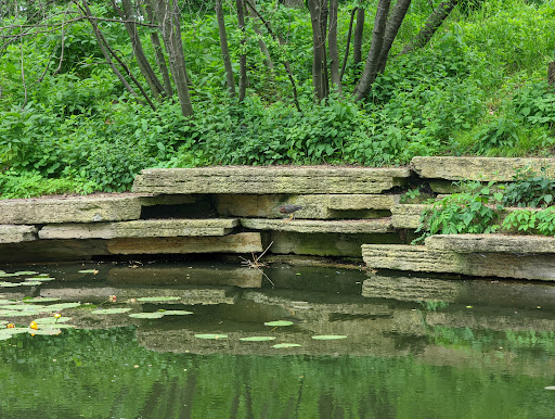 Park «Lincoln Park», reviews and photos, 2045 N Lincoln Park W, Chicago, IL 60614, USA