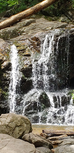 Park «Patapsco State Park», reviews and photos, 1101 Hilton Ave, Catonsville, MD 21228, USA