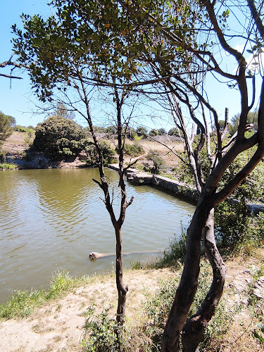 Lac de pêche avec barrage romain à Villegly