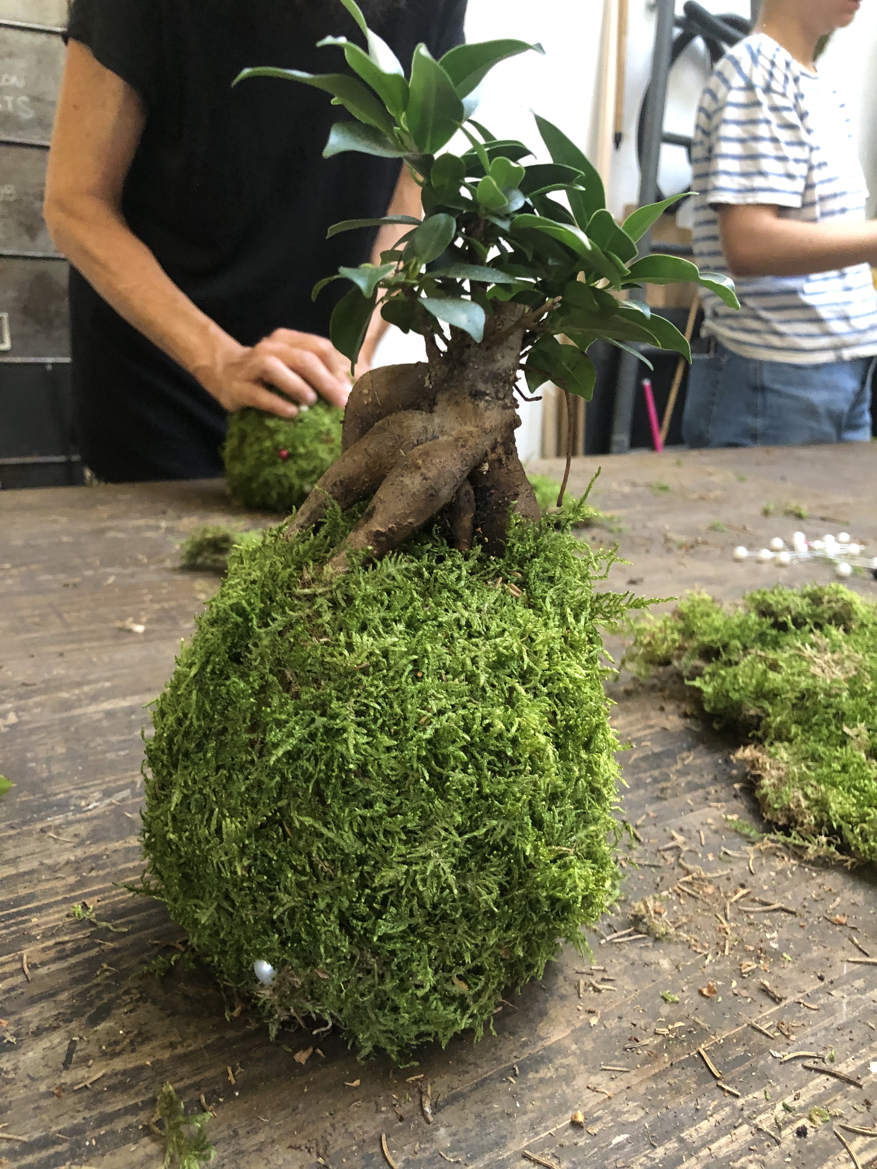Photo n° 1 de l'avis de BRIGITTE.E fait le 20/07/2022 à 19:13