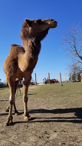 Tourist Attraction «Barn Hill Preserve», reviews and photos, 11370 LA-955, Ethel, LA 70730, USA