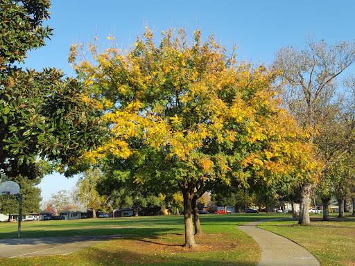 Park «Garbolino Park», reviews and photos, 1015 Camelia Ave, Roseville, CA 95678, USA