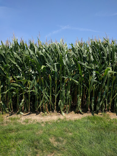 Liquor Store «Red Roof Liquor & Lottery», reviews and photos, 301 S Port Dr, Columbia, IL 62236, USA