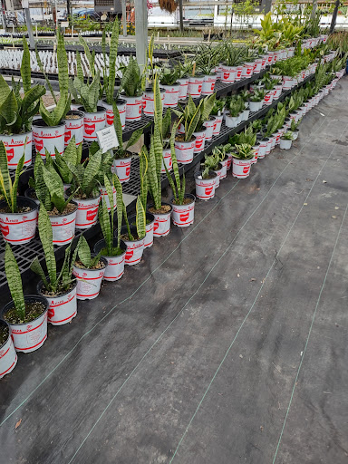 Plant Nursery «Blooming Acres», reviews and photos, 7561 State Rd, Wadsworth, OH 44281, USA