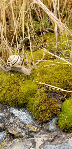 State Park «Fort Revere Park», reviews and photos, 60 Farina Rd, Hull, MA 02045, USA