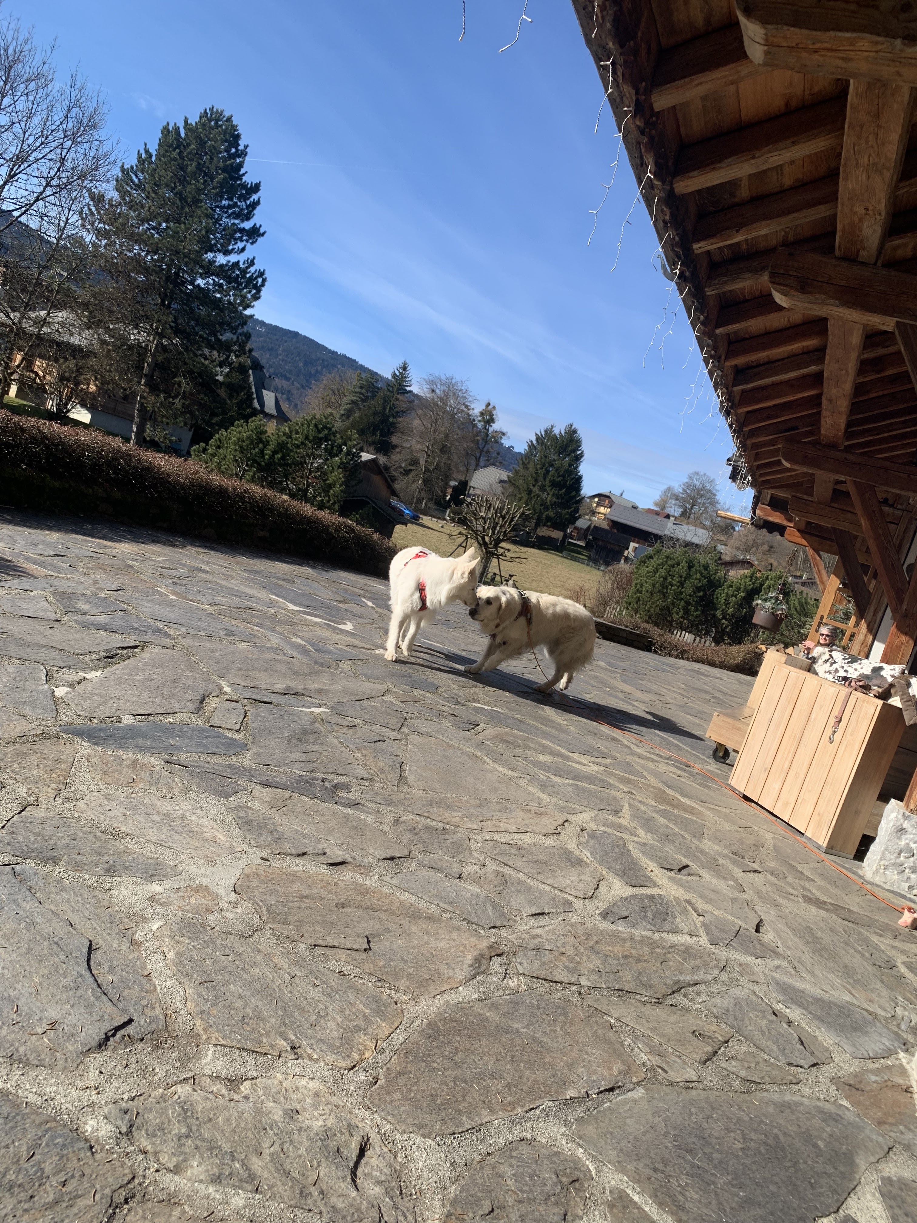 Photo n° 2 de l'avis de mickael.a fait le 20/02/2024 à 08:12