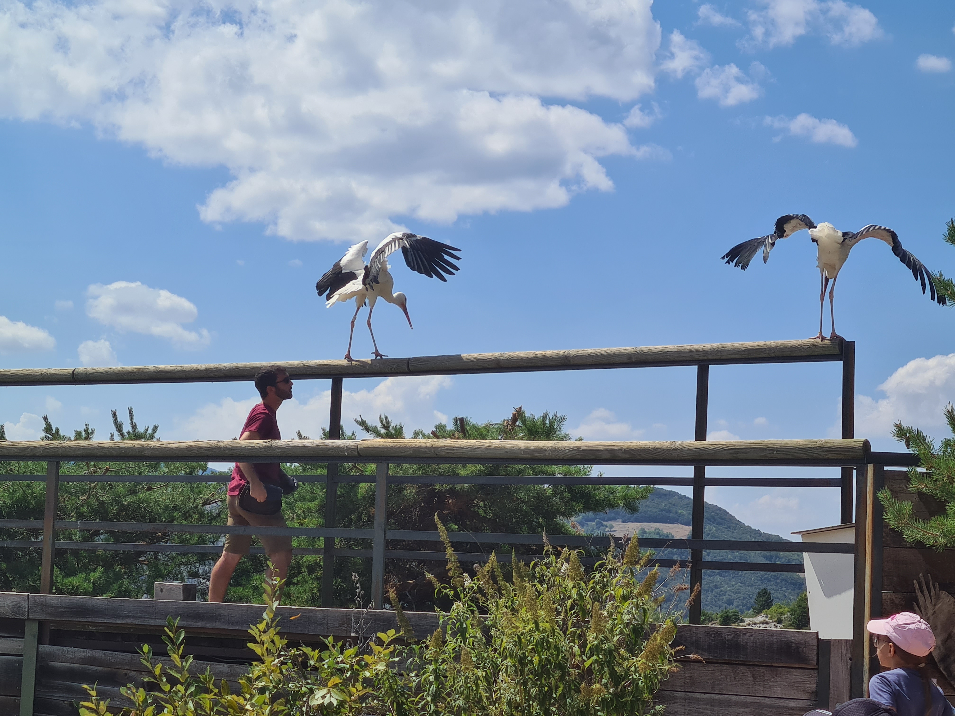 Photo n° 5 de l'avis de Aurelie.e fait le 15/08/2022 à 14:41