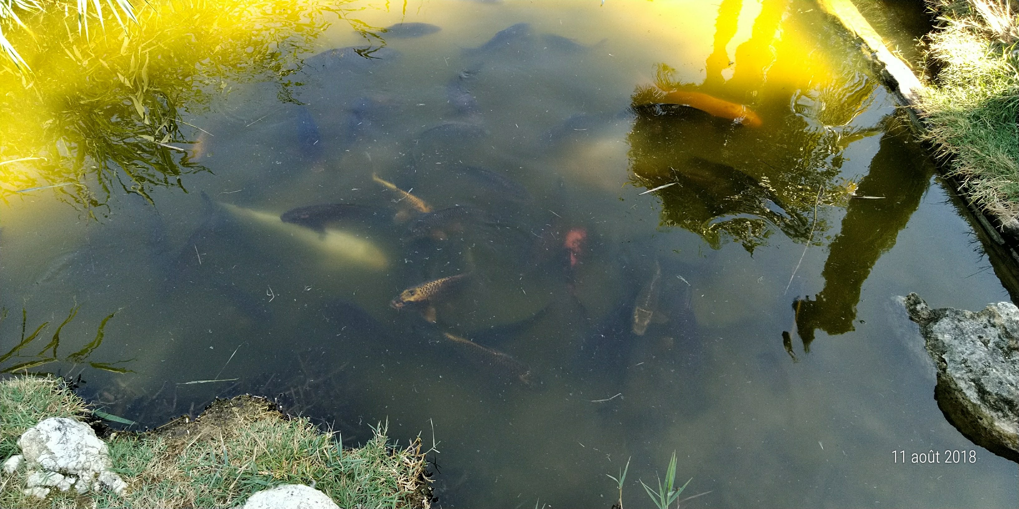 Photo n° 1 de l'avis de Famille.o fait le 13/08/2018 à 15:50