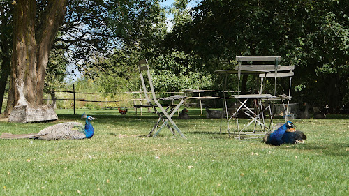 Jardins de Roquelin à Meung-sur-Loire