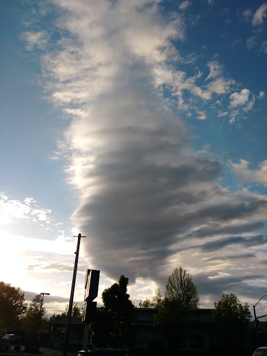 Park «Willamalane Park», reviews and photos, 1276 G St, Springfield, OR 97477, USA