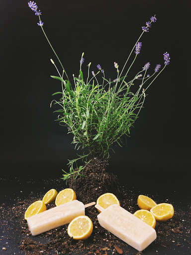 Dessert Restaurant «Steel City Pops», reviews and photos, 1021 Bardstown Rd, Louisville, KY 40204, USA