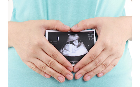 Window to the Womb Reading image