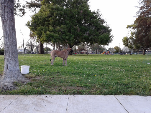 Butcher Dog Park