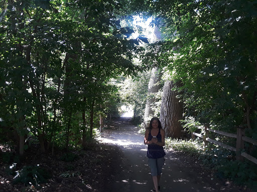 Golf Course «Birnamwood Golf Course», reviews and photos, 12424 Parkwood Dr, Burnsville, MN 55337, USA