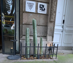 Almanegra Café photo