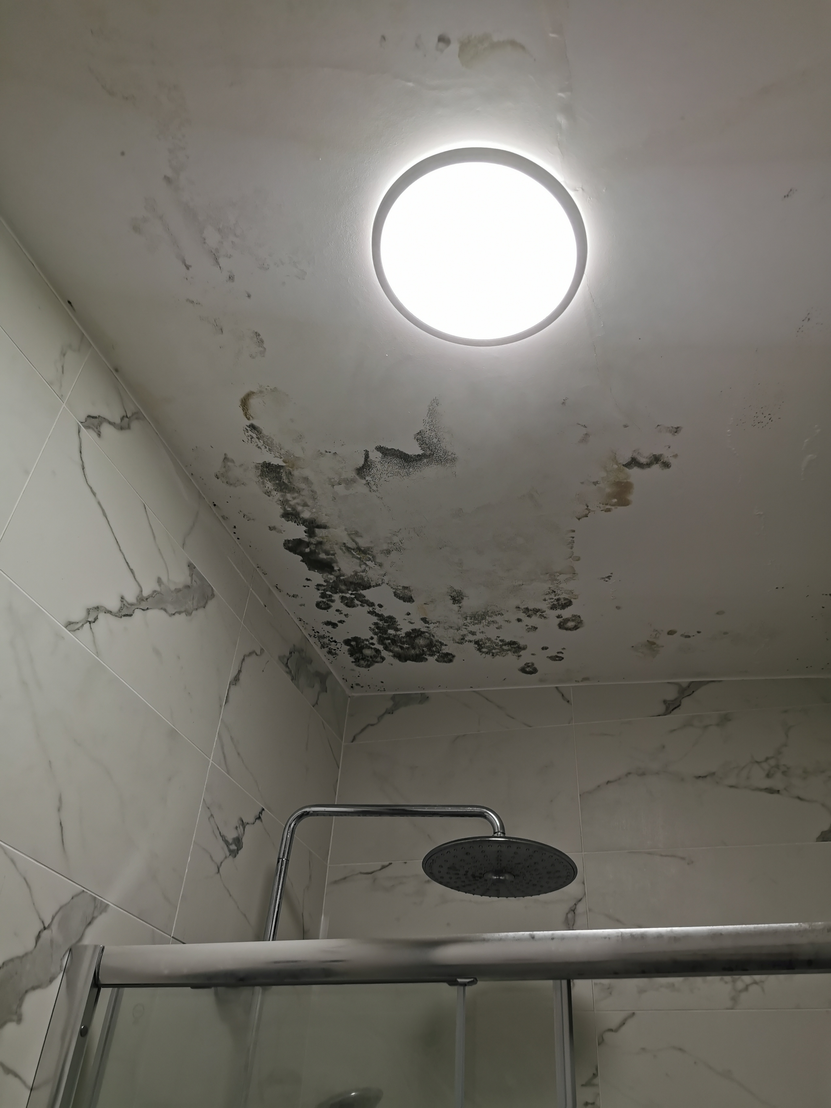 Photo n° 6 de l'avis de kerstin.stark@googlemail.com.p fait le 21/10/2023 à 05:41