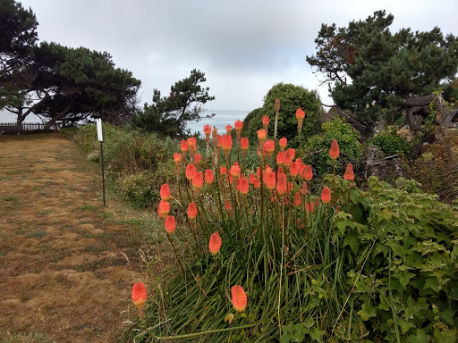 Cafe «Trinks Cafe & Bakery», reviews and photos, 39140 CA-1, Gualala, CA 95445, USA