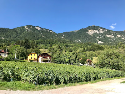 Domaine Montessuit Famille à Ayse